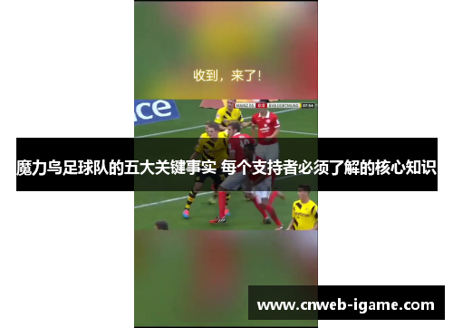 魔力鸟足球队的五大关键事实 每个支持者必须了解的核心知识 魔力鸟足球队的五大关键事实 每个支持者必须了解的核心知识