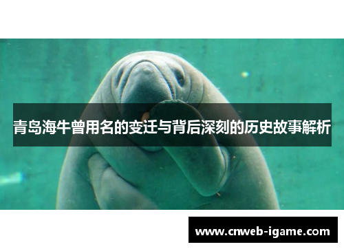 青岛海牛曾用名的变迁与背后深刻的历史故事解析