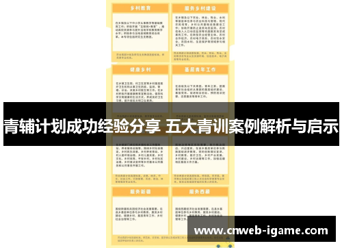 青辅计划成功经验分享 五大青训案例解析与启示