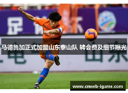 马德鲁加正式加盟山东泰山队 转会费及细节曝光